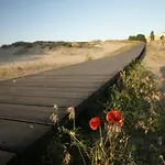 Arcadia Slantchev Briag