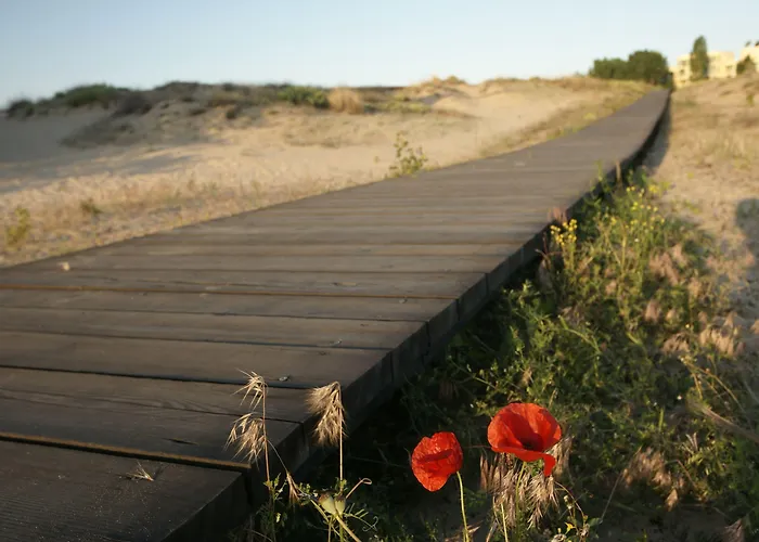 Arcadia Slantchev Briag